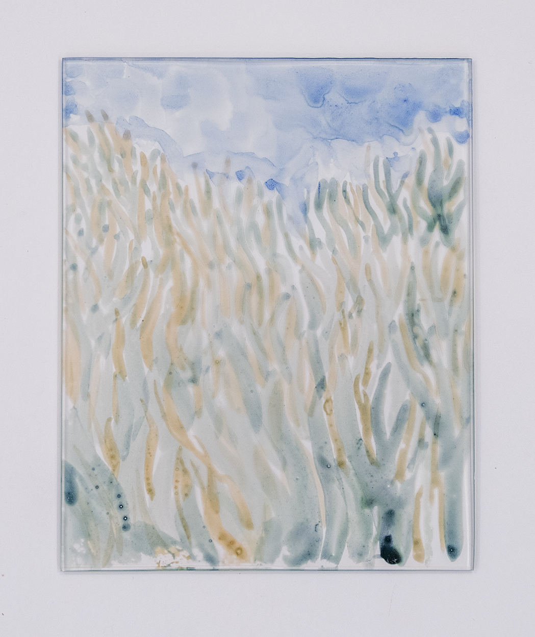 grass under blue sky