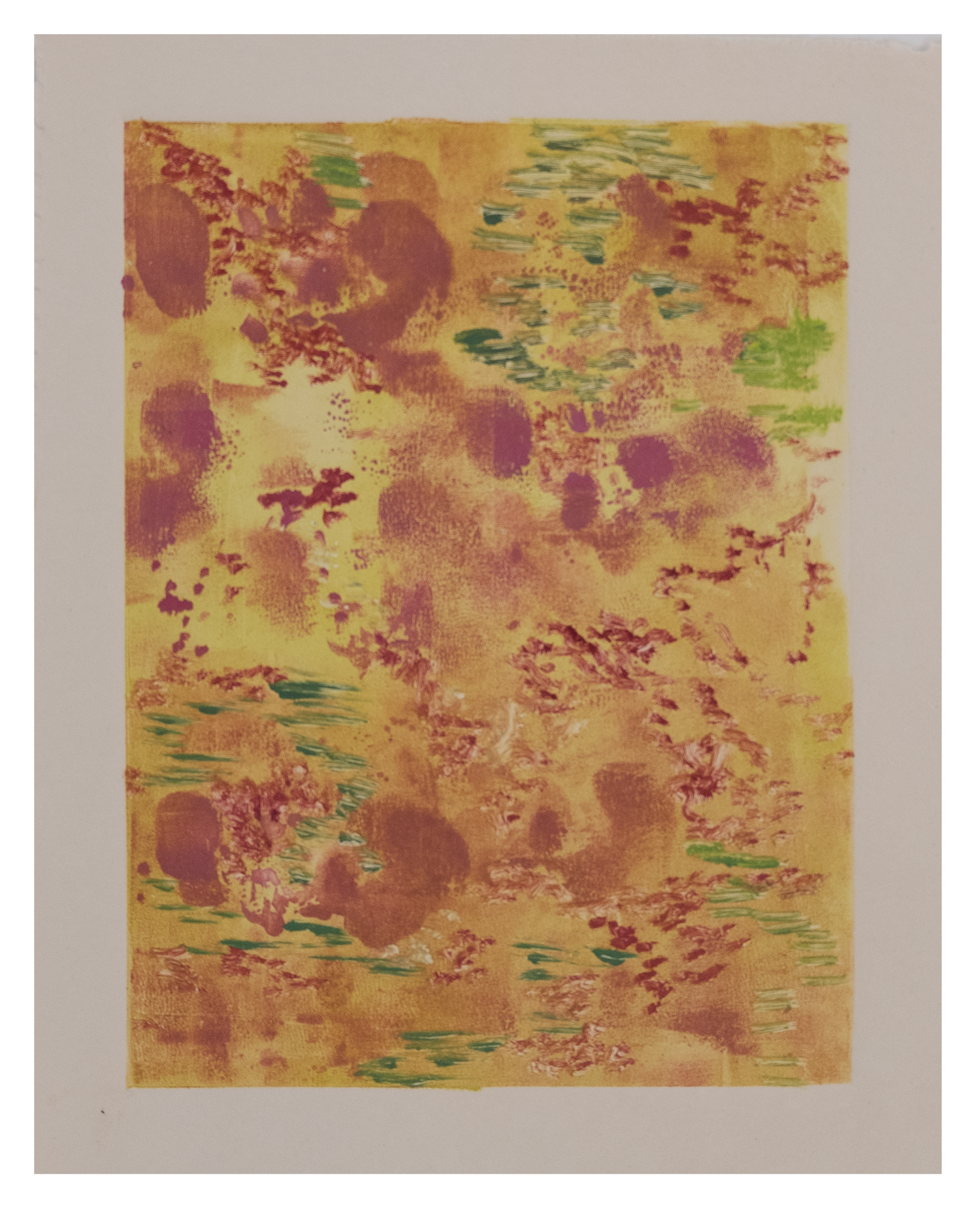 1 yellow spring in delhi_oil monoprint_10x12in_2024.png