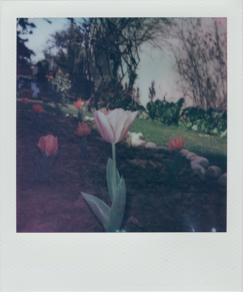 mix_polaroids