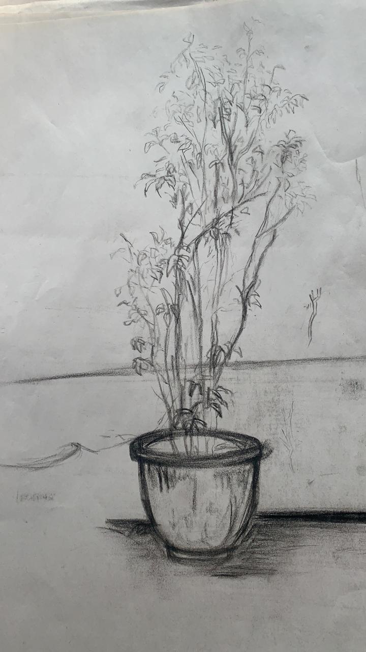1charcoal sketches.jpeg