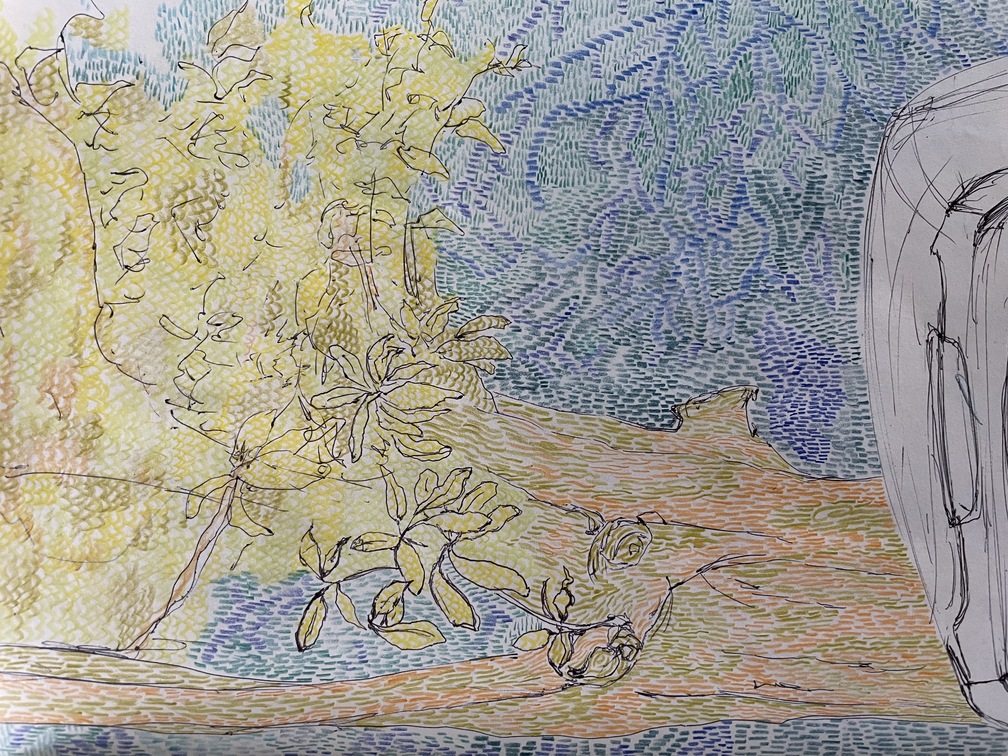 15sketchbook pages.JPG