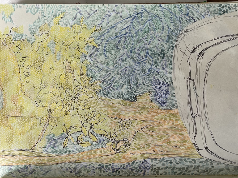 16sketchbook pages.JPG