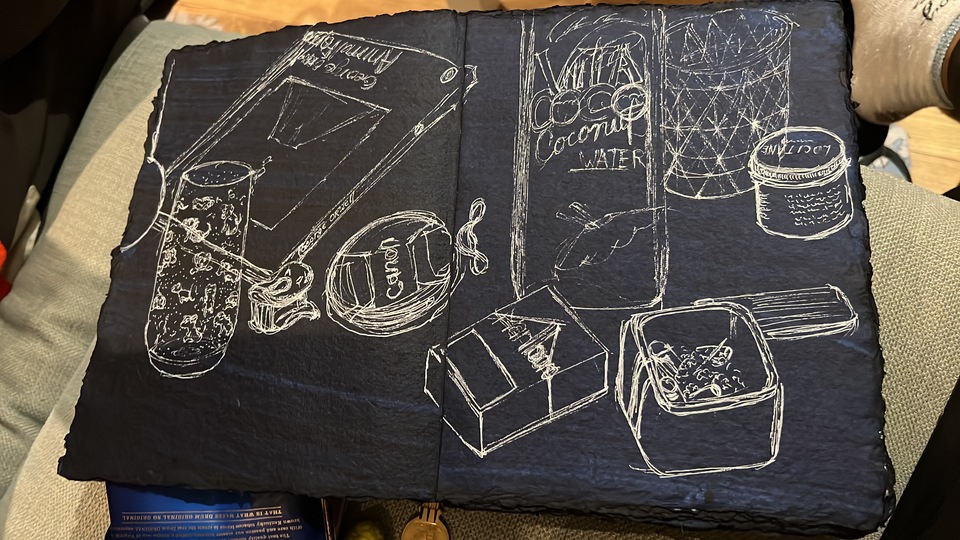 Sketchbooks Collection by Artist Saruha Kilaru