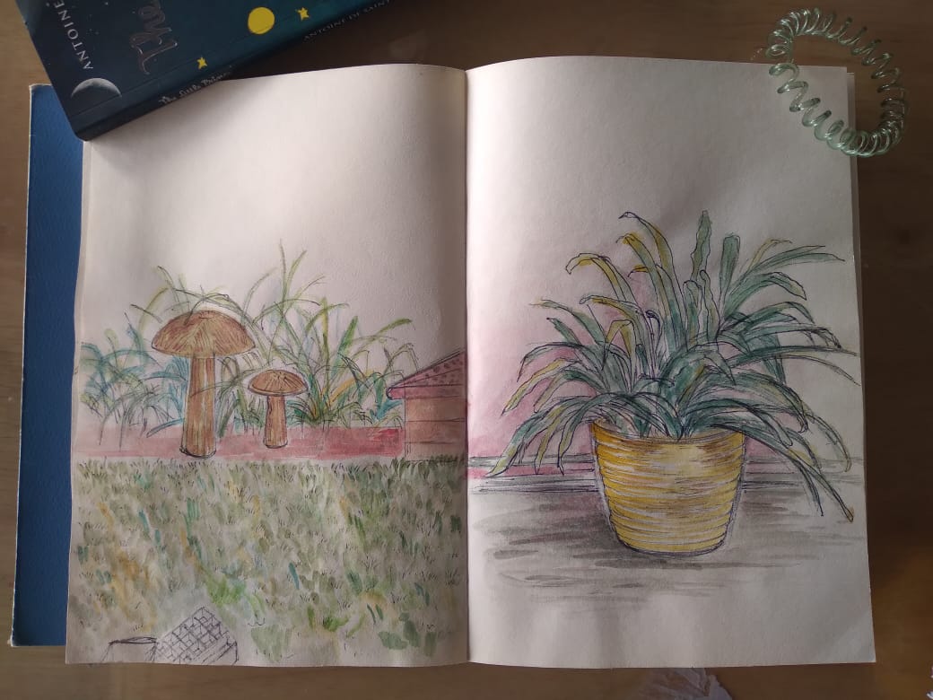 31sketchbook pages.jpeg