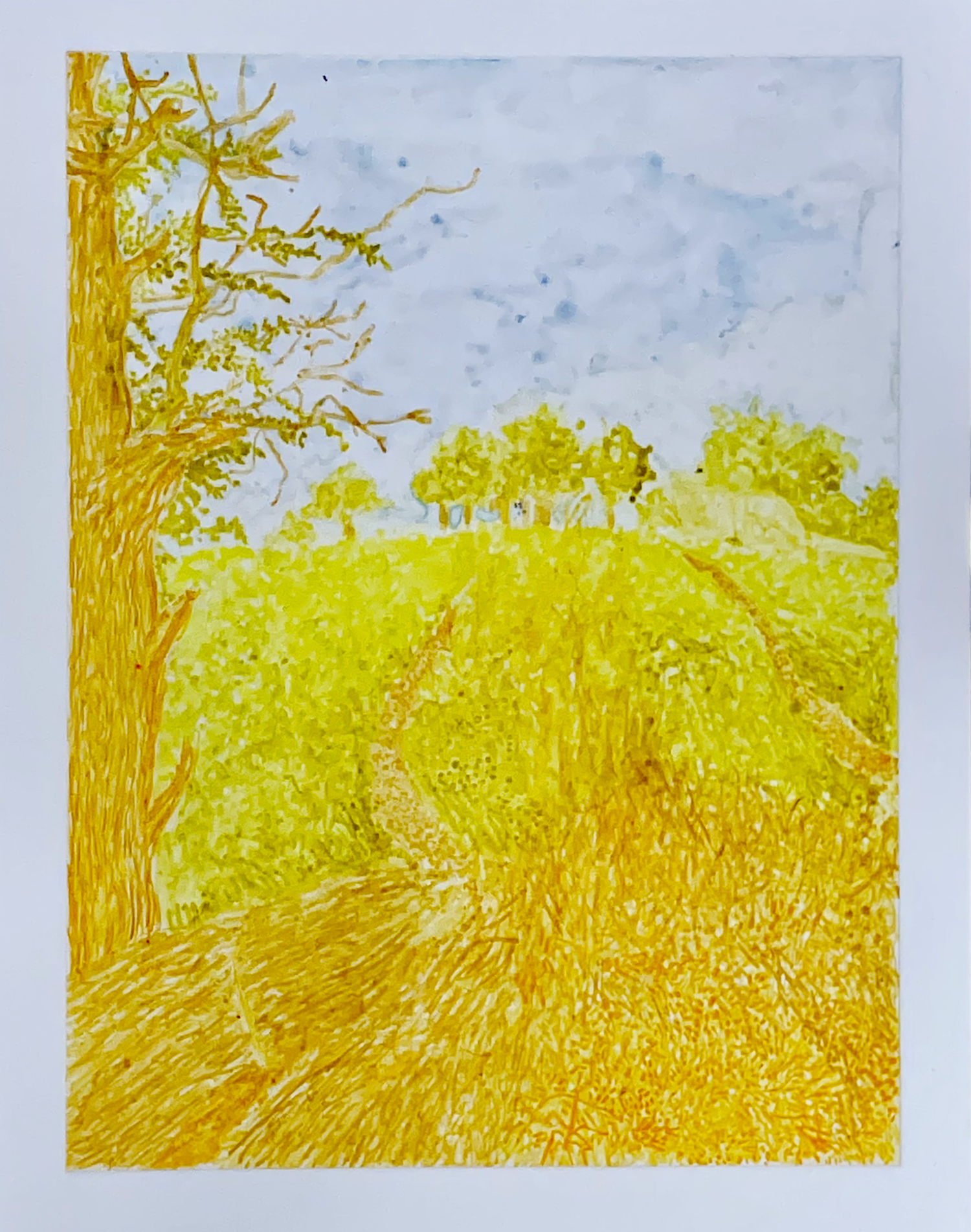 yellow landscapes4