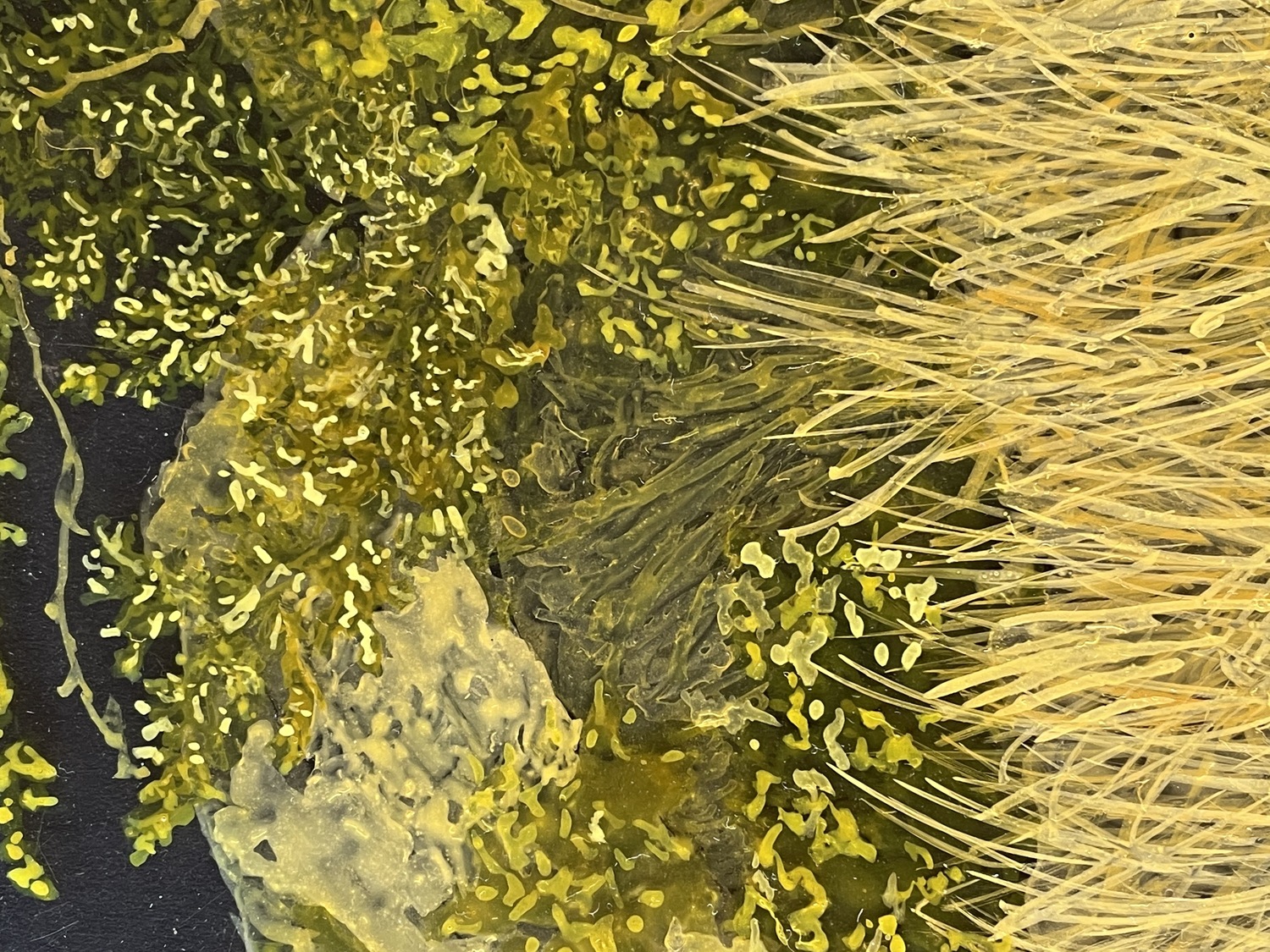 yellow landscape detail wip